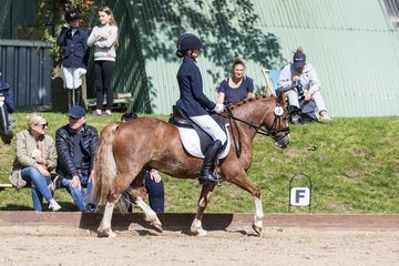 Bild 551 - Pony Akademie Turnier